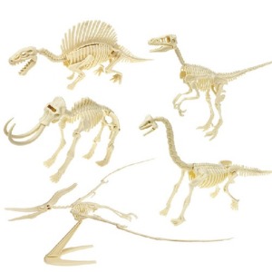 3D입체형 공룡뼈 조립