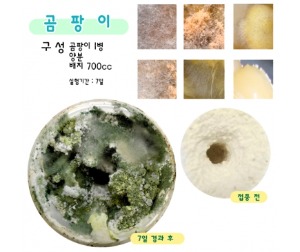 농장 균류세트- 곰팡이 누룩 효모 느타리버섯