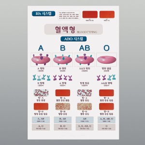 혈액형 차트 10매1조