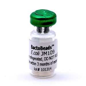 박토비드 E. coli JM109 ED726